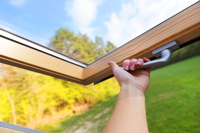 Attic Mold Remediation in Pilgrim 41250