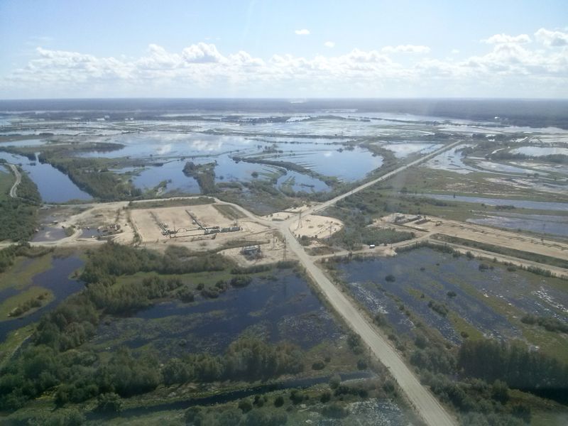 Black Mold Removal in New Concord 43762